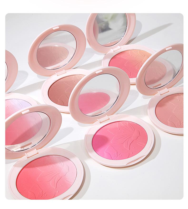 Product Introduction of 【buy 1 get 1 free】ZVEV Gradient powder blusher+brush, low saturation, improve atmosphere, can be used as concealer, 6 colors 8
