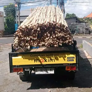 Kayu galam kalimantan, Kayu Gelam Super panjang 4m diameter 3-4cm, harga 28.000 perbatang, COD area Bali, siap kirim ke Luar pulau, melayani pemasangan pagar dan plafon kayu galam, harga 650.000 include pemasangan, Ampelas halus, tahan panas dan hujan.