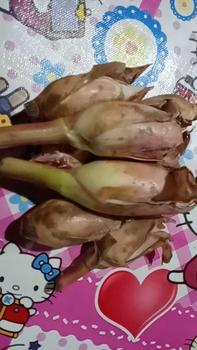 Product Review of Kecombrang bumbu masak 1kg yang kami kirim kecombrang utuh from p**2 0