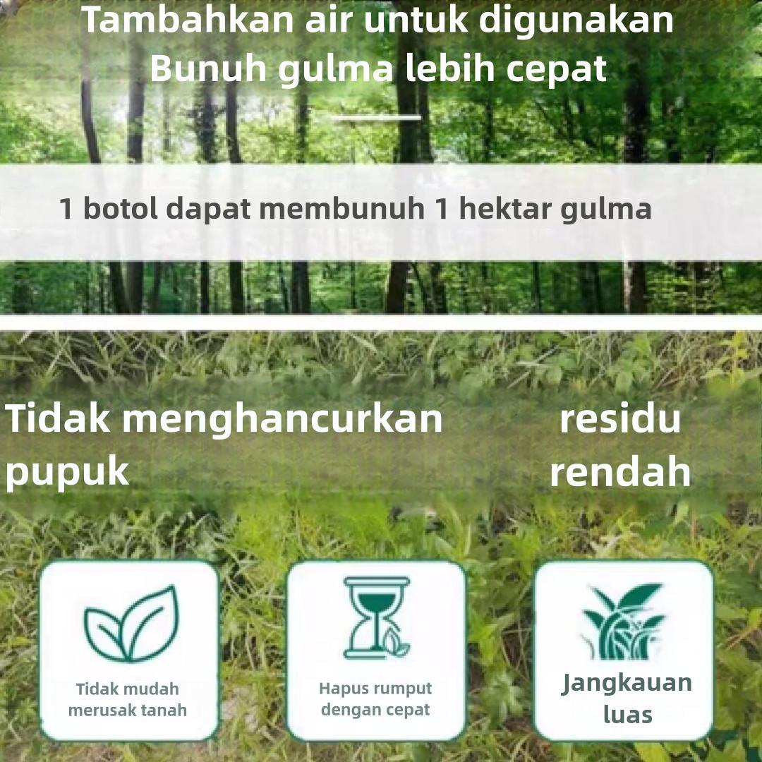 Xiao Tianhu 200g Herbisida Ampuh Matikan Akar Rumput, Cocok untuk Kebun & Lahan Kosong,Khusus untuk penyiangan kebun dan lahan pertanian,Aman dan bebas polusi