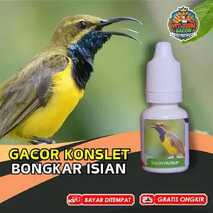 Vitamin Burung Sogon Gacor