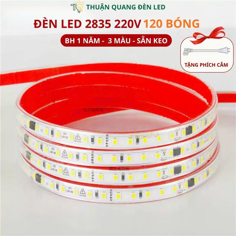 [ Tặng Phích ] Đèn LED dây - 220V SMD - 120 bóng LED/mét ánh sáng trắng 6000K, trung tính 4000K, Vàng ấm 3000K