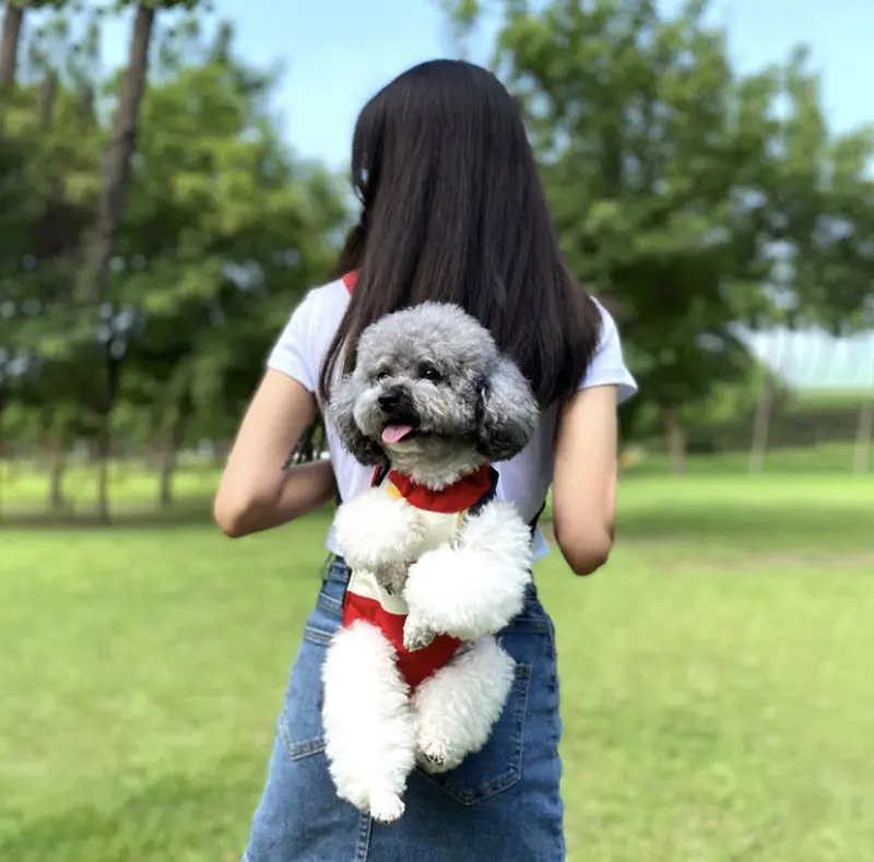 Ba lô du lịch thoáng khí, túi xách tay, ba lô bốn chân, ngực, túi chó, mèo 1