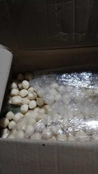 Product Review of Getas Super Ikan Tenggiri 1kg Makanan from Y**i P**i 1
