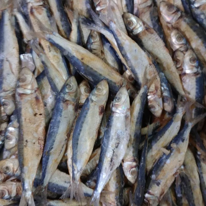 Ikan Asin Japuh , ikan asin japuh maknyus Frozen Food Seafoo - Shop ...