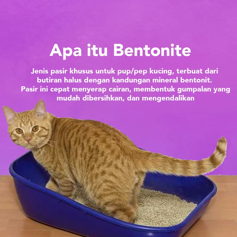 MARBLE PETS Bentonite 5L Cat Litter Pasir Kucing  Gumpal, Harum Wangi,Dari Bahan Alami, Anti Bakteri,dan Aman untuk Kitten dan Kucing Dewasa 2
