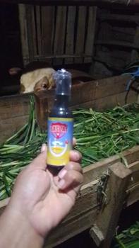 Product Review of Baslat 60ml Pembasmi lalat dan kutu sapi kuda babi kerbau dan kambing from f**7 0