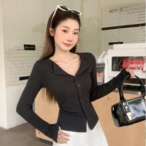 Women's Polo Neck Long Sleeve Top, Early Autumn Outerwear, High-End Slimming Design, Drawstring Detailing, Stylish Korean Fashion Womenswear Basic Casual Minimalist