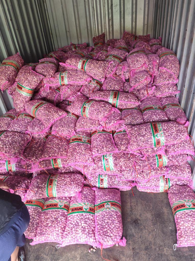 Bawang putih tunggal atau bawang lanang ukuran JUMBO 1kg segar kualitas terbaik  Herbal Garlic