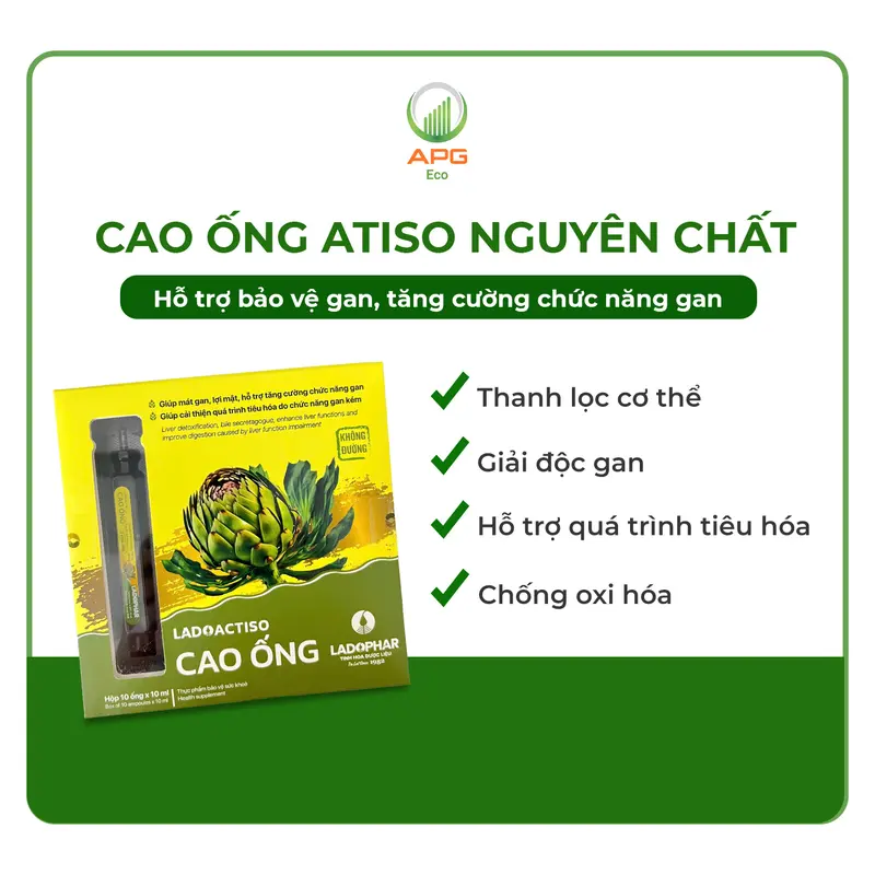 Combo 10 Hộp Cao ống Atiso Nguyên Chất (Quy cách 10ml x 10 ống/Hộp) 2
