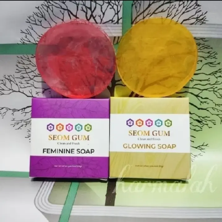 Sabun Seom Gum Isi 10 Pcs Mencerahkan