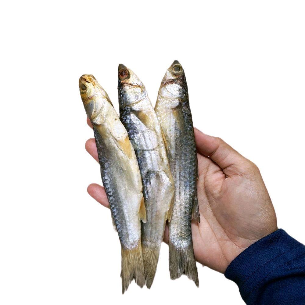 Ikan Belanak / Kedera Masam - Dried Food — Product image