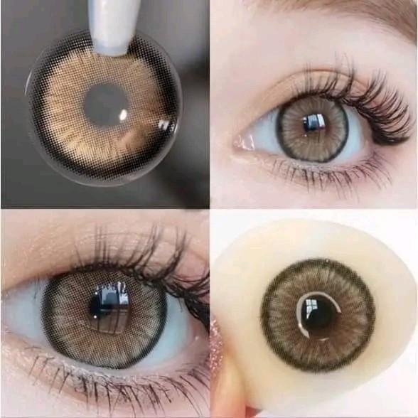 Product Introduction of Soflens Ala Kpop Idol (Living Color Cherish) Eye Contact Lens 2