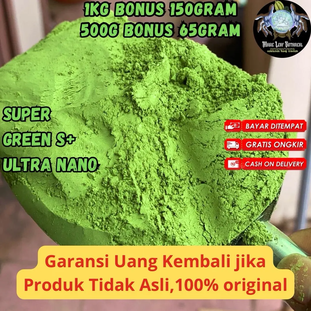 Morintea 1130Gram  premium Magic Leaf