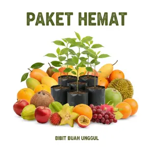 PAKET PROMO 70RB DAPAT 3 MIX | 2BONUS | CANGKOK | OKULASI | SEMAI SUPER