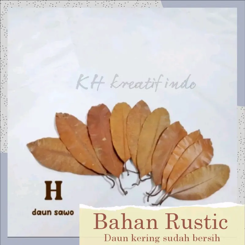 Bahan prakarya kerajinan dan kesenian / Rustic Daun kering bersih / seni keindahan / keterampilan / rustic kesenian yang indah / bahan dasar daun kering Hiasan 7