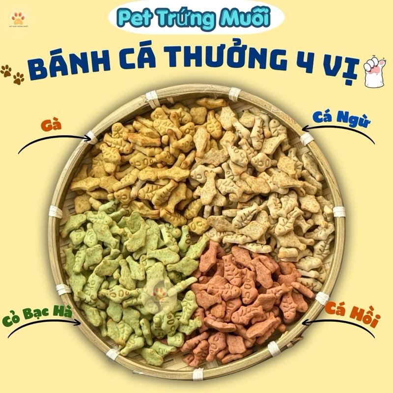 Bánh Cá thưởng Catnip mix 4 vị siêu thơm ngon dành cho chó mèo, giúp làm răng…