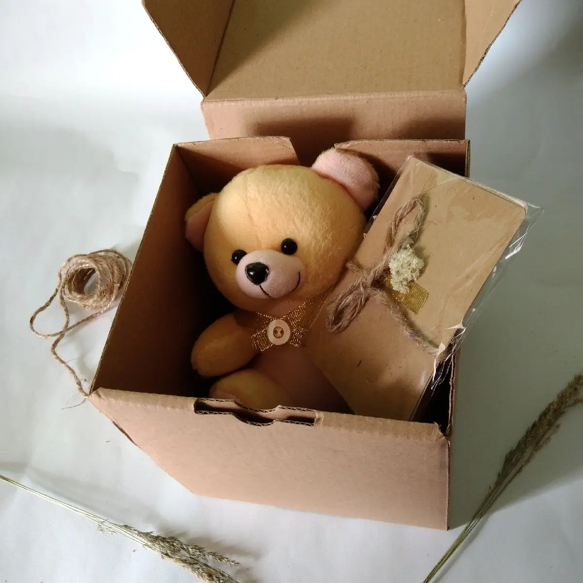 Special GiftBox Boneka Teddy Bear