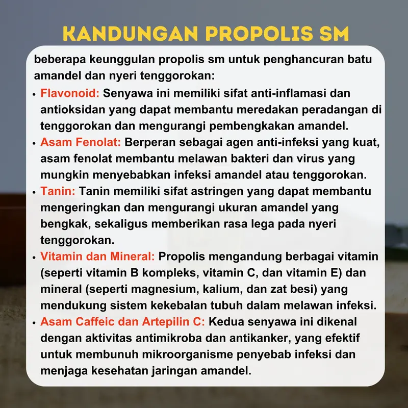 Cairan Untuk Penghancur Batu Amandel Nyeri Tenggorokan Propolis SM Stok Ready Isi 6ml 2