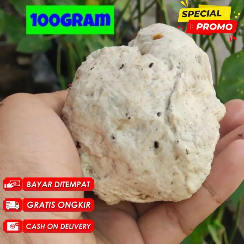 PULUT BURUNG GETAH KARET BENDO ASLI SIAP PAKAI PIKAT MIKAT JALA BURUNG LENGKET AROMA TIDAK SEDAP WARNA PUTIH TIDAK CERAH