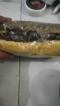 Product Review of Paket makanan Legend isi 3 Macam @250gram (gatot,ampok,tiwul) from B**a A** 0