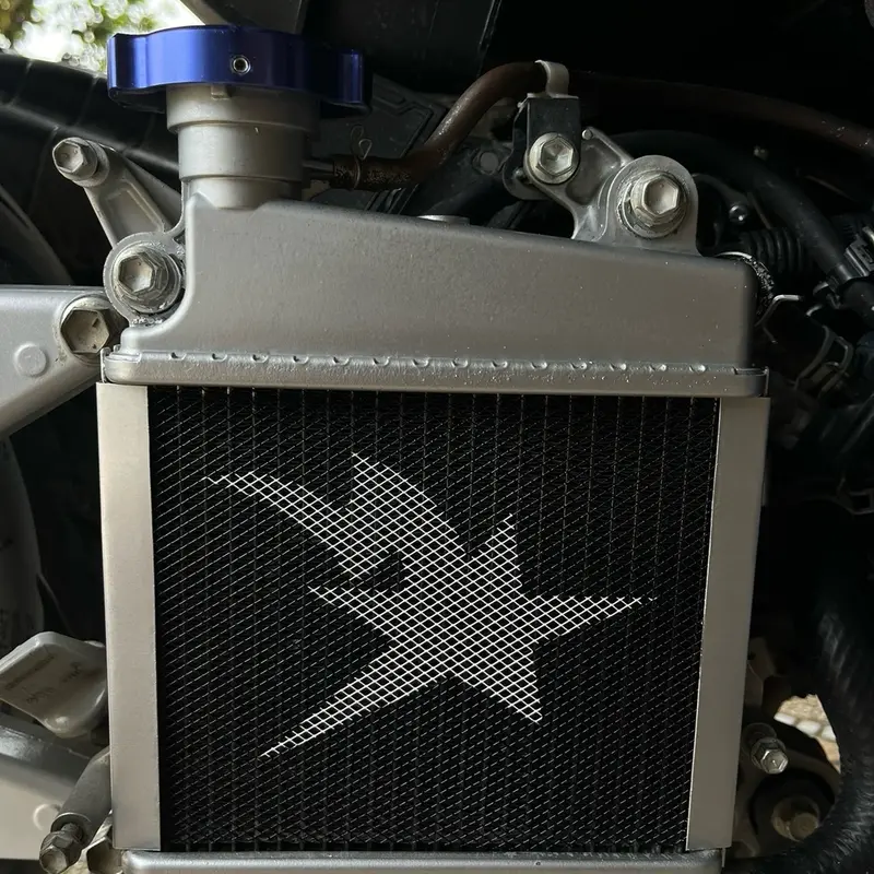 jaring radiator ala ala racing (SEMUA MOTOR) 4