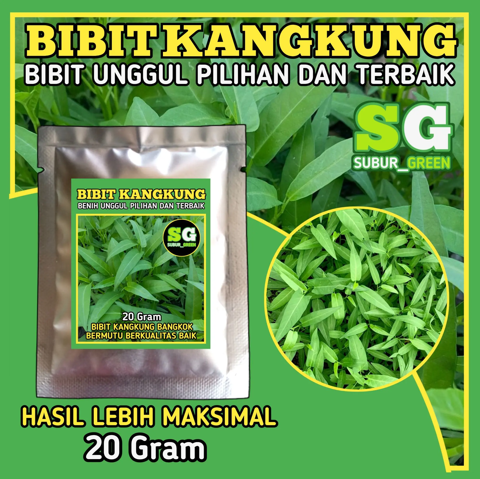 Bibit kangkung jumbo bermutu berkualitas termurah bisa cod kemasan 20 gram