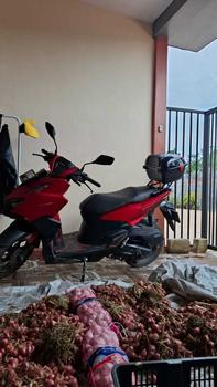 Product Review of BRACKET BREKET BEHEL BRAKET BEGEL BOX VARIO 160 from P**a 0