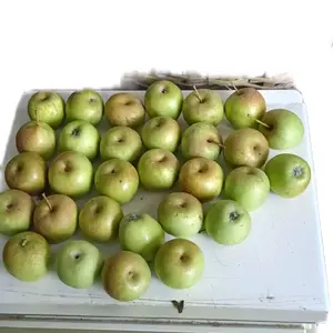 Apel Manalagi SUPER KECIL Sekilo 30-35 Buah