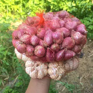 PAKET BAMER+BAPUT KONDISI KERING