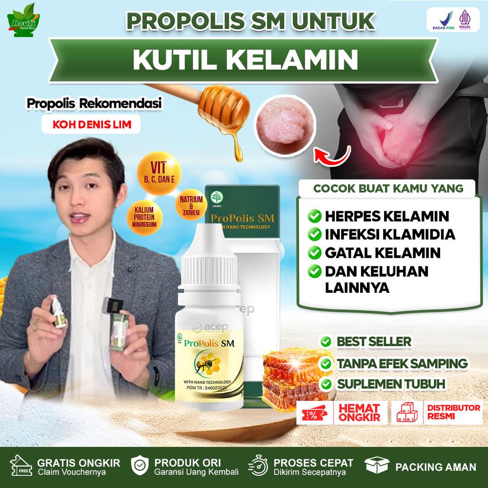 Azali Herbal Alami Propolis SM Kutil Kelamin Pria Dan Wanita Virus Papiloma Herpes Kelamin Infeksi Klamidia Kondiloma Akuminata Isi 6ml Sudah BPOM