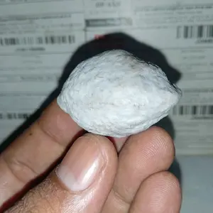 Muncang Adu Jayanti a.gogog super