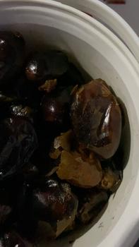 Product Review of PROMO (PAKET 2 Ember) Kurma Al-Kasem from A**k M**i O** 2