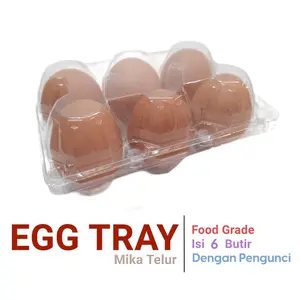 50pcs Mika Telur 6 Butir Kancing /  Tray EGG Dengan Pengunci / Food Grade