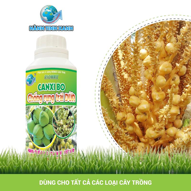 Phân Bón Chống Rụng Trái Dừa Canxi Bo 500ml, Tăng Đậu Hoa Cái, Đậu Trái| Hành Tinh Xanh