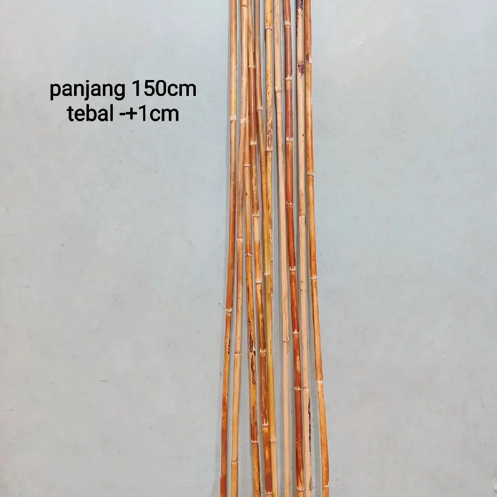 Batang Rotan Menjalin tebal -+1cm