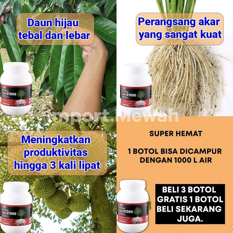 Pupuk DASSHU Jepang Z1000 3