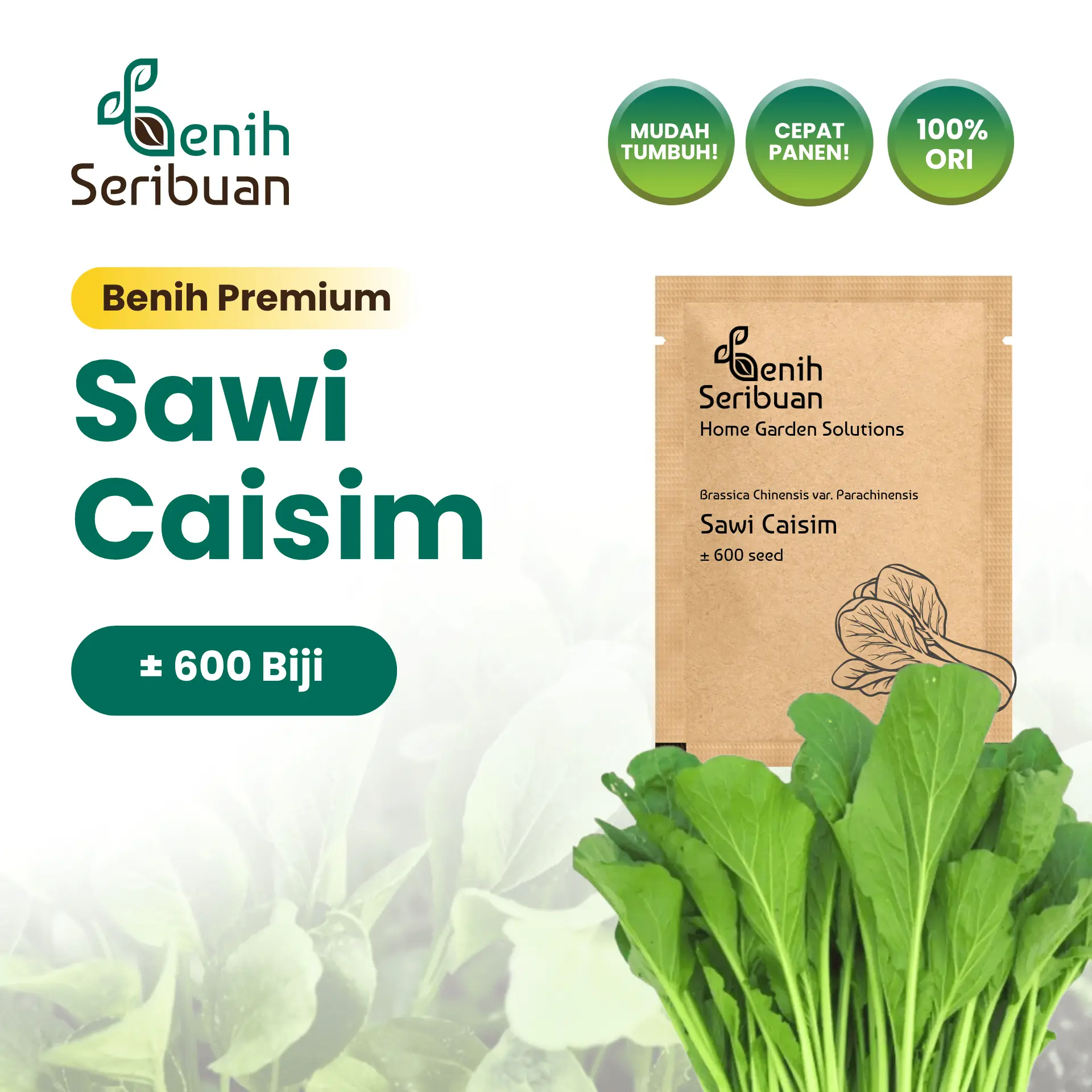 Benih Sawi Caisim - Benih Sayuran Seribuan