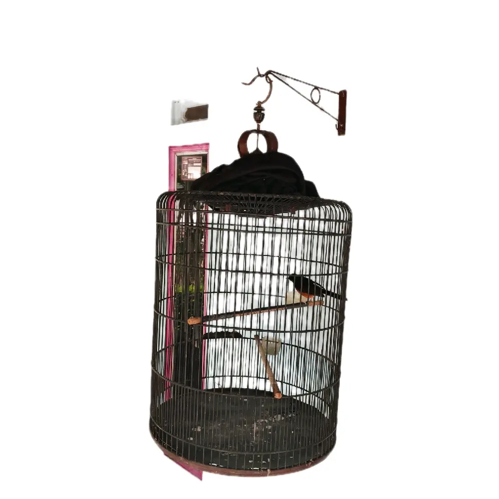 Cantolan Burung Tempel Dinding Murah Panjang 30cm 40cm 50cm Warna Hitam Dan Silver Bahan Besi 6mm Desain Minimalis Kokoh