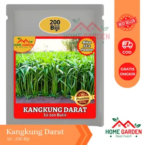 Benih Biji Bibit Kangkung Darat Kangkung Bangkok Kangkung Cabut 200 Butir benih  kangkung
