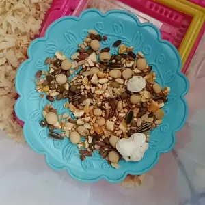 MAKANAN HAMSTER PREMIUM MIX 250gr, BONUS POPCORN, TANPA PELET & BEBAS KUTU!!