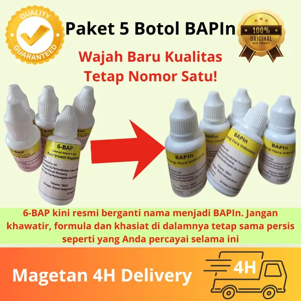 Pelangi Flora Indonesia Paket 5 Botol 6-BAP (BAPIn) Hormon Perangsang Bunga dan Tunas Tanaman Anggrek Dendrobium Bulan Onchidium Vanda Catleya 30ml