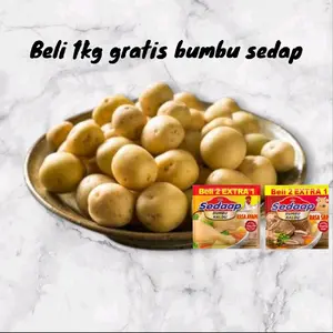 kentang rendang 1kg gratis bumbu sedap baby potato fresh