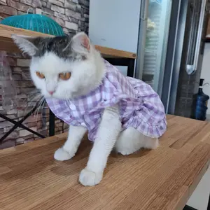 Baju Kucing Dress Stylish Baju Kucing Anjing Musang