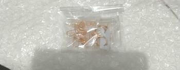 Product Review of ANTING DESY TITANIUM SILVER MOTIF PERMATA ANTI LUNTUR ANTI KARAT Earrings from u**2 0