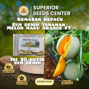 30 butir biji benih tanaman buah melon madu(kemasan repack plastik klip)
