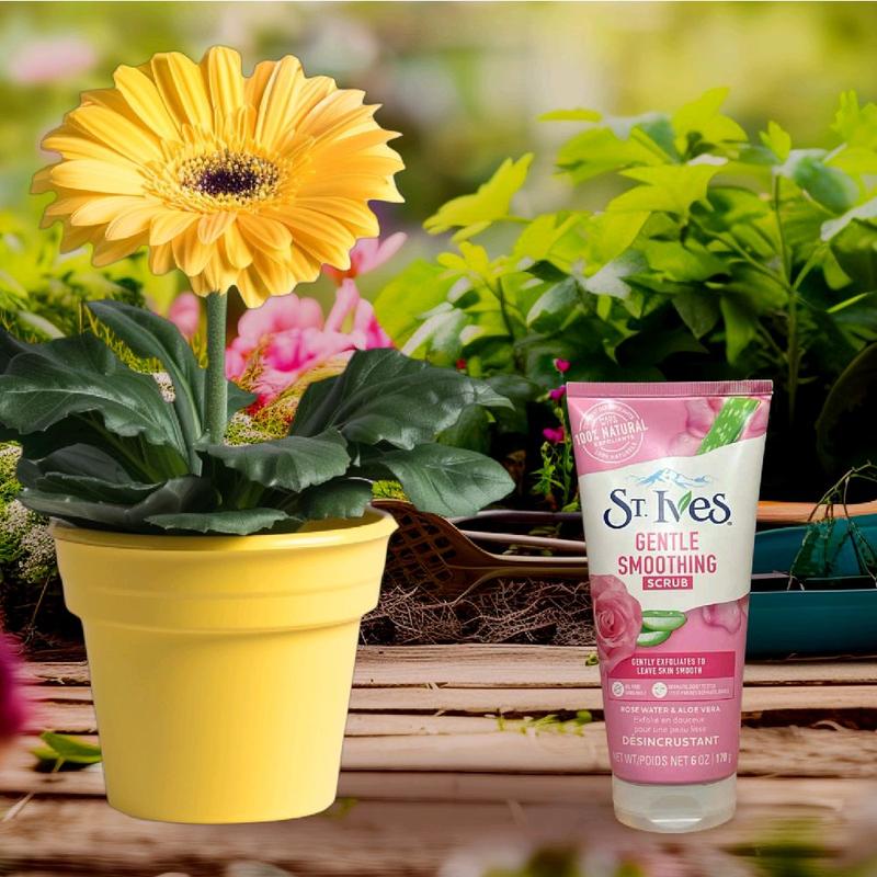 Sữa rửa mặt tẩy tế bào chết st.Ives scrub 170g thành phần thiên nhiên nuôi dưỡng làn da tươi trẻ mỗi ngày 2