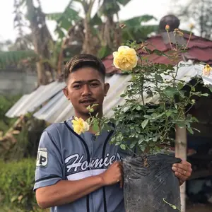 Link co khusus live mawar full media