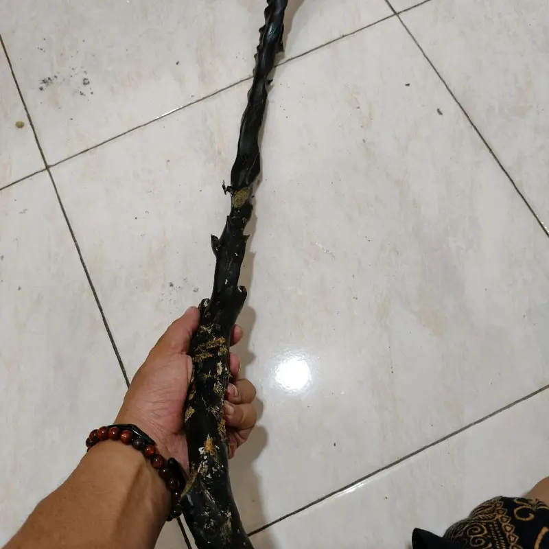 Bahan akar bahar hitam lentur kualitas super batang rata,padat dan berserat. 3