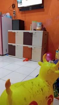 Product Review of Lemari Plastik Akako 8 Pintu susun 2 Fancy Furniture Furniture Laci from N**e 2